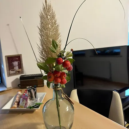 Katharina Im Weinort An Der Mosel Apartamento *