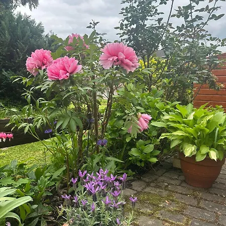 Katharina Im Weinort An Der Mosel Daire