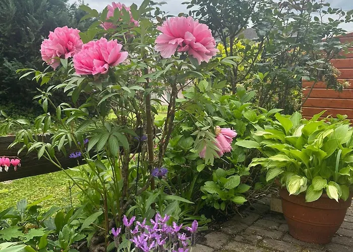 Katharina Im Weinort An Der Mosel Apartamento
